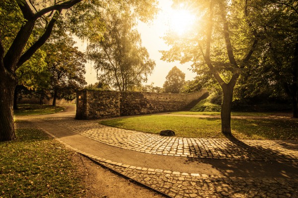 Vysehrad_zahrada2
